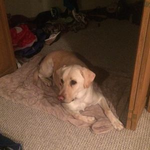 Meet your Posher, Celeste